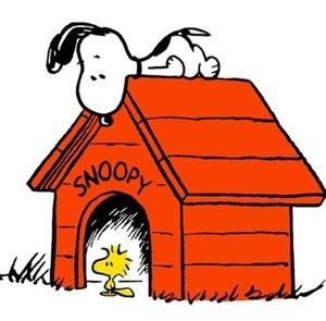 Meet your Posher, Nicholas